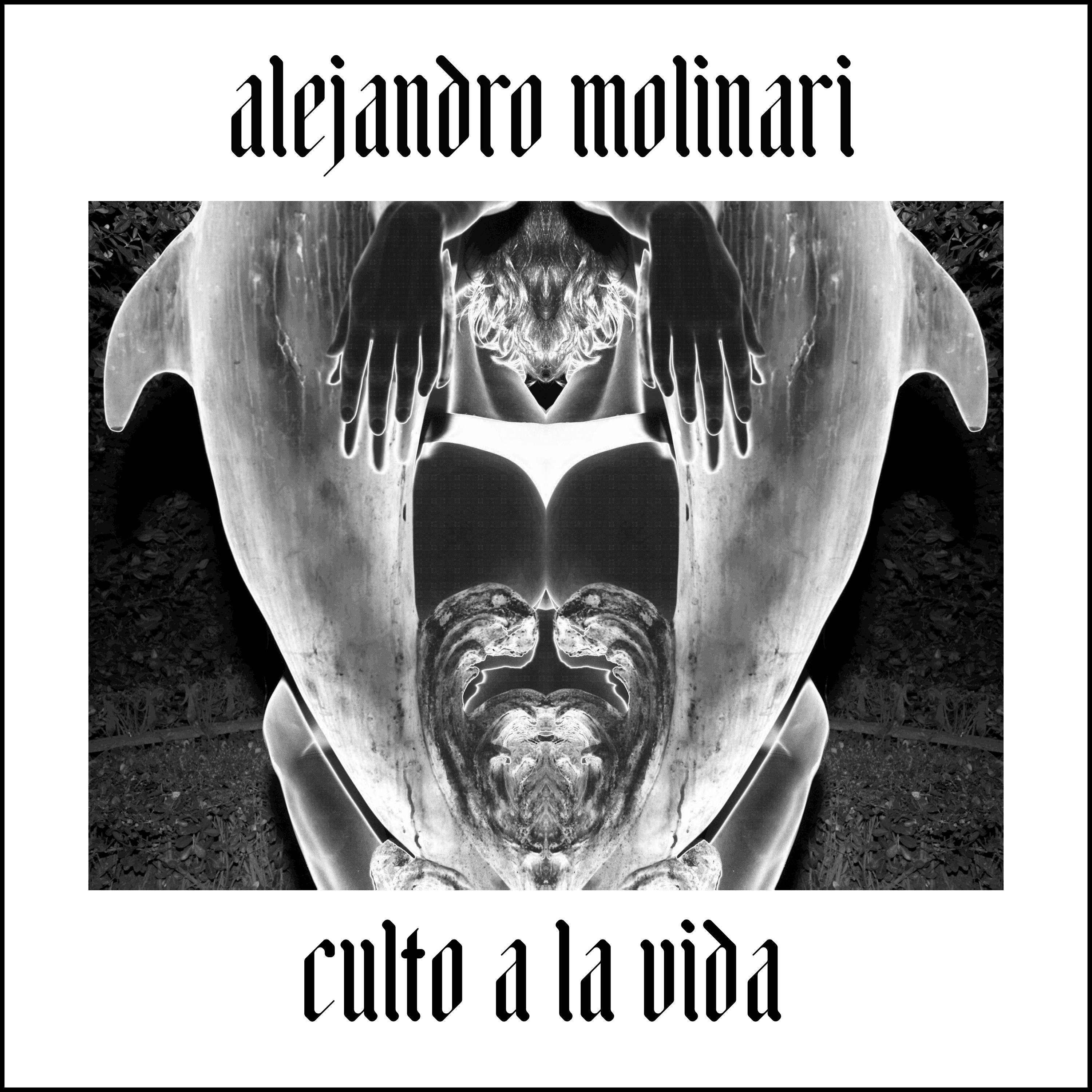 Alejandro Molinari Culto a la Vida artwork